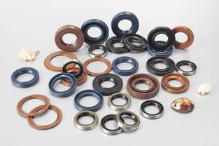 機械油封與氟膠密封圈的全面解析 生產(chǎn)廠家與價格指南