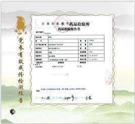 張掖民樂縣 守正創新筑基石，嚴把質量兩道關